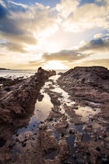 Fototapeta premium Playa de Las Americas - Tenerife