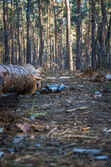 Garbage in pine forest. People illegally thrown garbage into forest. Concept of man and nature. Beer bottles
