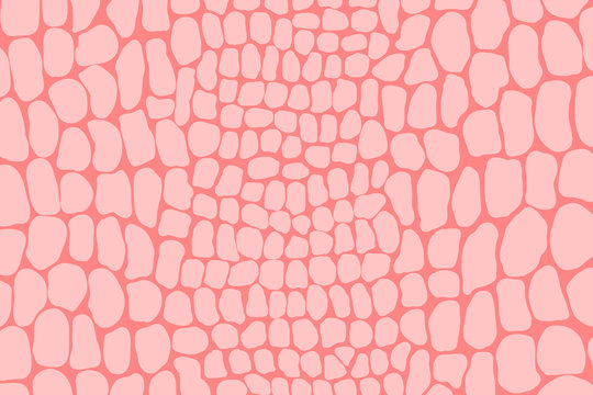 Illustration of crocodile skin pattern. Animal print