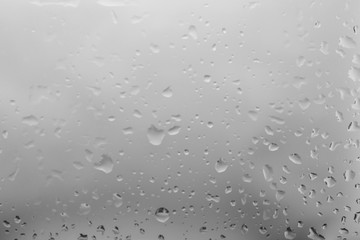 Water drops on light background, closeup view