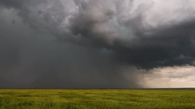 Dark storm dropping heavy rain over grassy field as cell moves across the landscape.