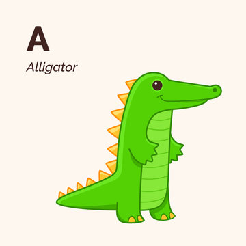 Cartoon alligator, cute character for children. Vector illustration in cartoon style.