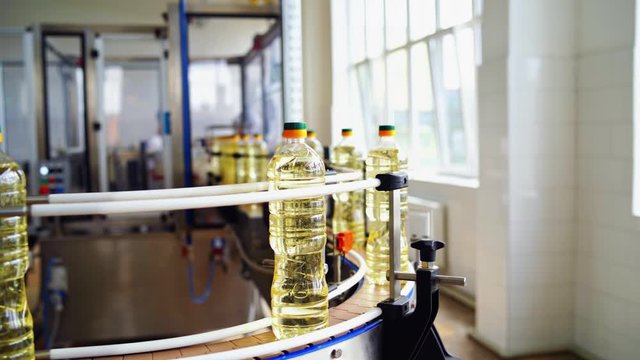 Bottle with sunflower oil on the conveyor. Bottles of olive oil travelling along the production line inside a factory for the production of edible oils