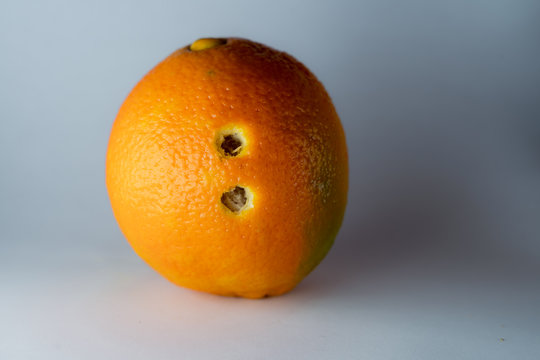 Doppelpunkt einer Schriftart in die Schale frischer Orangen geschnitzt