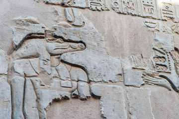 Sobec Crocodile God Kom Ombo Temple