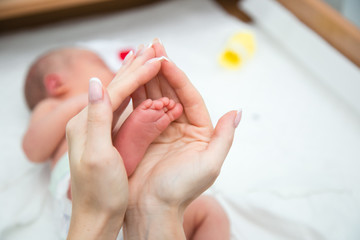 Naklejka premium baby feet in mothers hands
