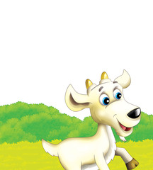 Cartoon farm scene with animal goat having fun on white background - illustration for children