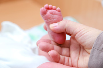 baby feet in mothers hands
