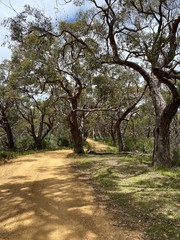 Obraz premium Deep Creek Conservation Park