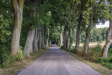 Fototapeta na wymiar Country lane near Zajaczki, small village near Ostroda town in Poland