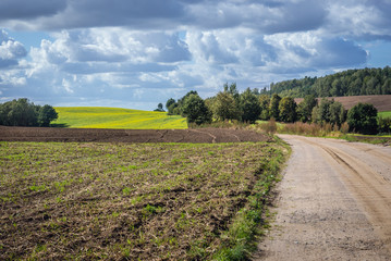 Fototapeta na wymiar Field road in Glaznoty, small village in Masuria region of Poland