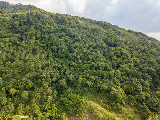 Hilly Jungle of Ko Pangan.Thailand