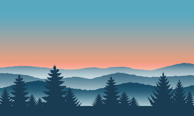 Fototapeta premium Forest view landscape. Horizon colorful on mountain at fog.