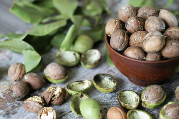 Selective focus. Walnuts in a bowl. The leaves of the walnut tree. Walnuts in a green peel. Harvest walnuts.