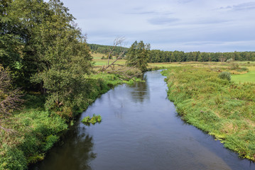 Fototapeta na wymiar River Drweca seen from a road near Brodnica town in Poland