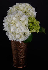 Hydrangea-73-Copper-Vase