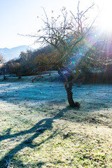 Rural Caucasus mountain landscape