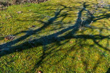 Rural Caucasus mountain landscape
