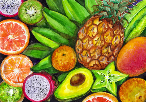 Hand drawn watercolor illustration of different fruits.Tropical fruit background.Watercolor exotic fruit.Top view of pineapple,avocado,banana,dragon fruit, grapefruit,orange,kiwi,mango and carambola.