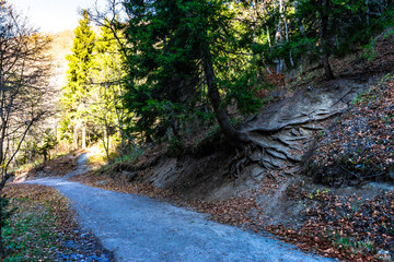 Georgiam road landscape