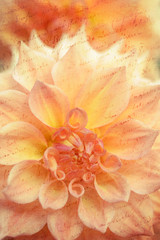 Floral backdrop 18th century handwriting