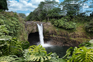 Rainbow falls in Hilo Hawaii of United States - obrazy, fototapety, plakaty