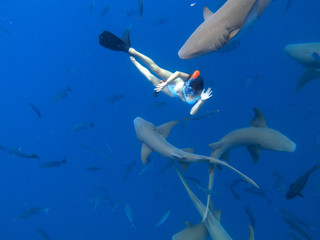 Woman swimming with nurse sharks