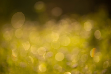 The abstract background of soft golden bokeh