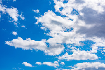 Fototapeta premium Blue sky with white clouds