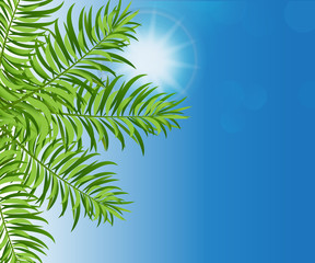 Fototapeta na wymiar Palm tree and sun bubbles bokeh background render vector image