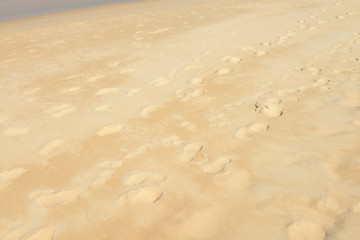 Footprints on the beach