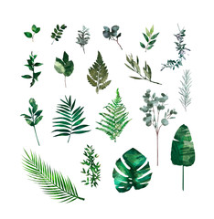 Watercolor modern decorative element set. Eucalyptus round Green leaf Wreath, greenery branches, garland, border, frame, elegant watercolor isolated, good for wedding invitation, card or print