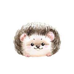 Set of hedgehogs. Natural background with cute watercolor cartoon character. - Illustration