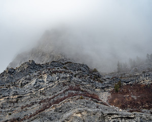 fog in the mountains
