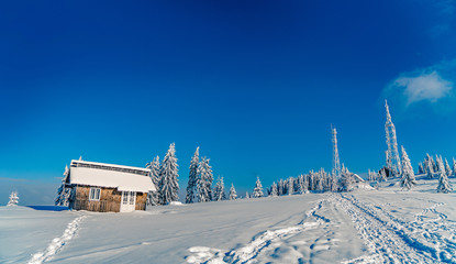 Beautiful snowy fir trees in frozen mountains landscape with house on north. Christmas background with tall spruce trees covered with snow. Alpine ski resort. Winter greeting card. Happy New Year