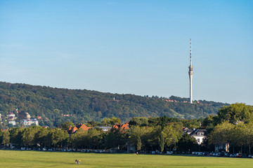 Obraz premium Elbwiesen sunny late summer day empty copy space television tower landscape
