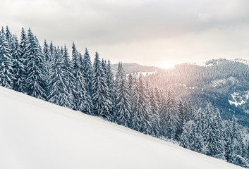 Beautiful panorama of snowy mountains landscape with snow covered forest. Christmas background with tall frozen spruce trees. Alpine ski resort. Winter greeting background. Happy New Year