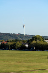 Obraz premium Dresden Elbwiesen sunny late summer day empty copy space television tower