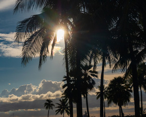 sunset on the beach