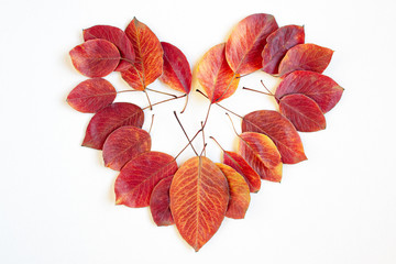 Flat lay top view of dry red, yellow, orange, brown autumn leaves that folded in the shape of a heart.