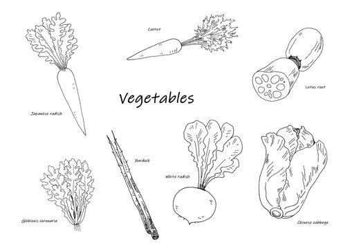 3 074 Best 冬野菜 Images Stock Photos Vectors Adobe Stock 3 074 Best 冬野菜 Images Stock Photos Vectors Adobe Stock