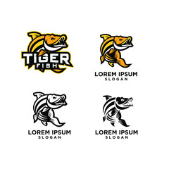 set of tiger fish logo icon design vector illustration