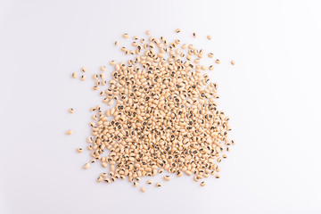 Fradinho Beans isolated on white background, soft light, Latin term Vigna unguiculata