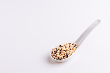 Fradinho Beans isolated on white background, soft light, Latin term Vigna unguiculata