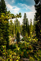 Cascade creek grand teton