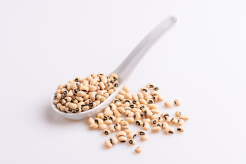 Fradinho Beans isolated on white background, soft light, Latin term Vigna unguiculata