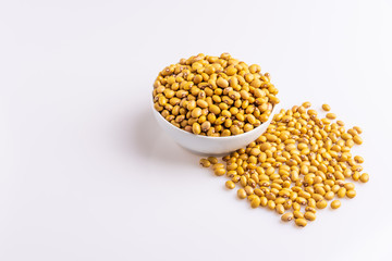 Bolinha Beans isolated on white background, soft light, Latin term 