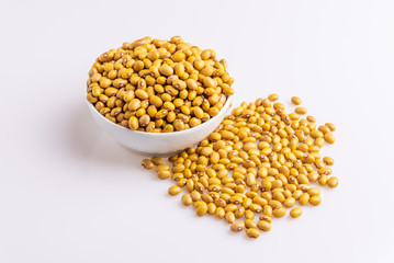 Bolinha Beans isolated on white background, soft light, Latin term 