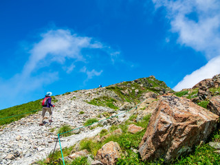 Fototapeta premium 白馬岳山頂を目指す