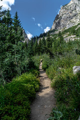 Cascade Canyon trail